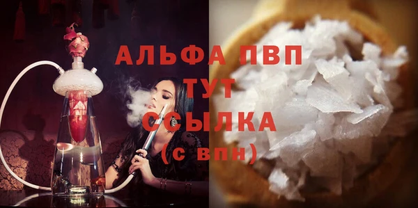 ГАЛЛЮЦИНОГЕННЫЕ ГРИБЫ Верея