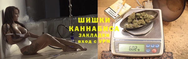 ГАЛЛЮЦИНОГЕННЫЕ ГРИБЫ Верея