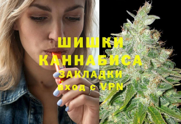 ГАЛЛЮЦИНОГЕННЫЕ ГРИБЫ Верея