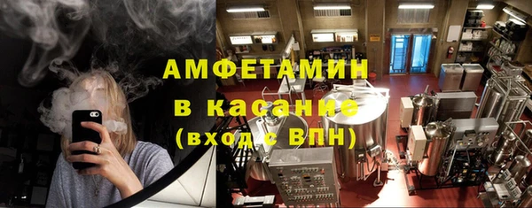 ГАЛЛЮЦИНОГЕННЫЕ ГРИБЫ Верея
