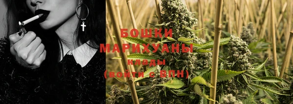 ГАЛЛЮЦИНОГЕННЫЕ ГРИБЫ Верея