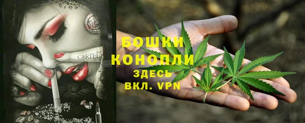 Альфа ПВП Верхний Тагил